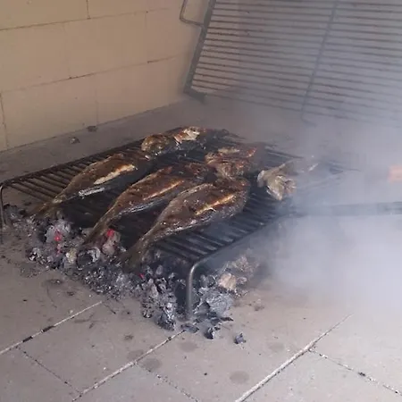 Braco Seget Vranjica